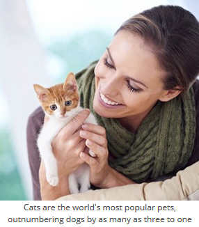 99 Interesting Facts about Cats 